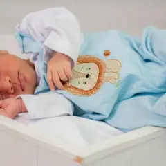 A newborn baby sleeps peacefully in a white bassinet, wearing a light blue onesie with a lion embroidery.