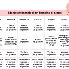 Schema svezzamento 6 mesi orario: tabella settimanale con pasti per neonato.