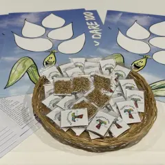 Cesto con semi per lavoretti quaresima per bambini catechismo. Volantini con disegni e frasi sul seguire le orme di Gesù.