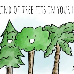 Tre alberi sorridenti, uno a forma di cono, uno tondo e una palma, con la scritta "Che albero sta nella tua mano?". Perfetto per barzellette per bambini.
