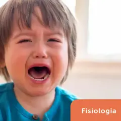 Un neonato di 6 mesi urla acutamente, con gli occhi chiusi e la bocca spalancata.
