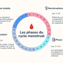 Il ciclo mestruale: mestruazioni, fase follicolare, ovulazione e fase luteale. Se arriva il ciclo prima di finire la pillola, è un segnale da valutare.
