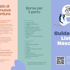 Guida alla lista nascita preimpostata con consigli per mamma e neonato. Stork porta un fagotto.