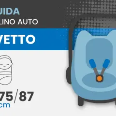 Guida seggiolino auto: l'ovetto fino a quanti mesi? Indicazioni per la sicurezza del neonato, da 40 a 87 cm.