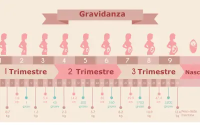 Illustrazione della gravidanza settimana per settimana, con silhouette di donne incinte e dati su peso e lunghezza del feto, utile se si conosce la data del concepimento.