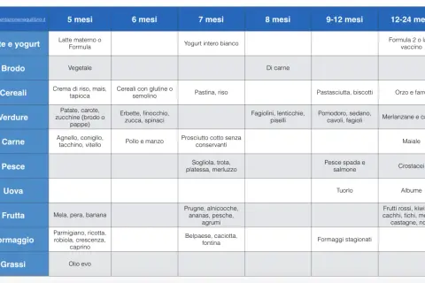 Tabella svezzamento 4 mesi: latte, brodo vegetale, cereali, verdure, carne, pesce, uova, frutta, formaggi e grassi.