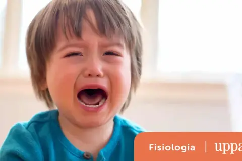 Un neonato di 6 mesi urla acutamente, con gli occhi chiusi e la bocca spalancata.