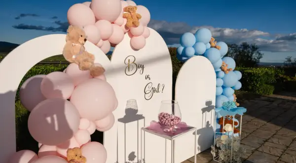 Decorazioni per baby shower: palloncini rosa e azzurri, orsetti e la domanda "Boy or Girl?".