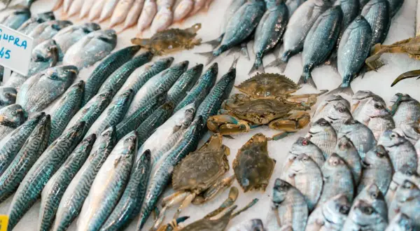 Mercato del pesce con sgombri, orate e granchi. Un'ottima scelta di pesce per bambini, fresco e invitante.