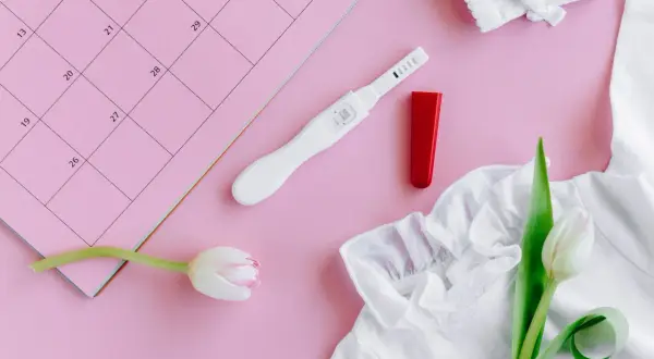 Test di gravidanza, tulipani e un calendario rosa. Un promemoria di attesa, sperando che il corpo luteo non si riassorba.
