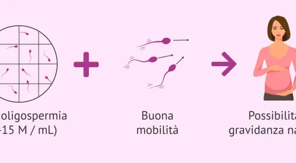 Lieve oligospermia e buona mobilità degli spermatozoi portano a possibilità di gravidanza naturale. Il liquido seminale muore a contatto con la pelle.