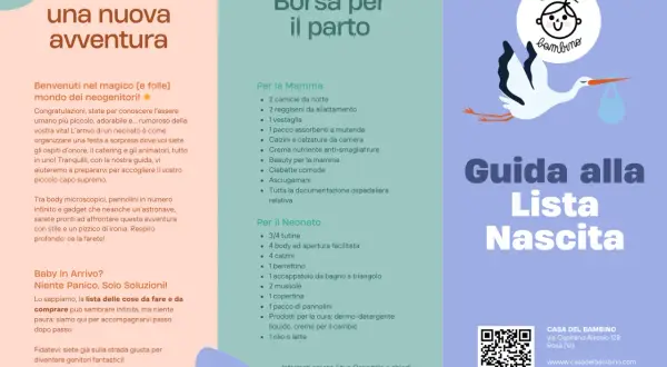 Guida alla lista nascita preimpostata con consigli per mamma e neonato. Stork porta un fagotto.