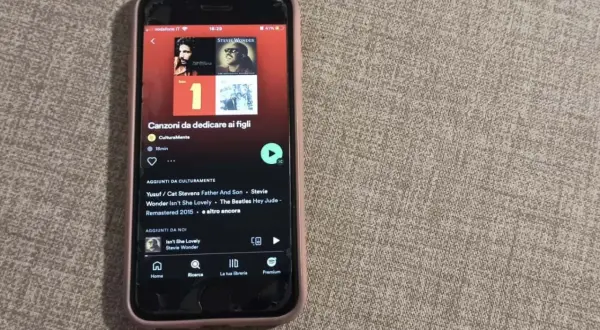 Playlist "Canzoni da dedicare ai figli" su Spotify, con brani di Stevie Wonder e Cat Stevens.