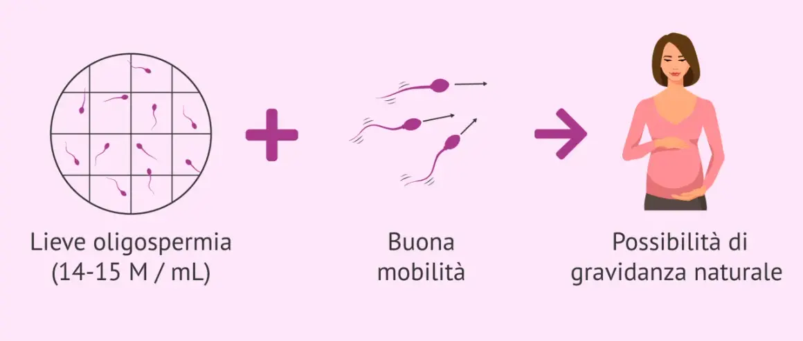 Lieve oligospermia e buona mobilità degli spermatozoi portano a possibilità di gravidanza naturale. Il liquido seminale muore a contatto con la pelle.