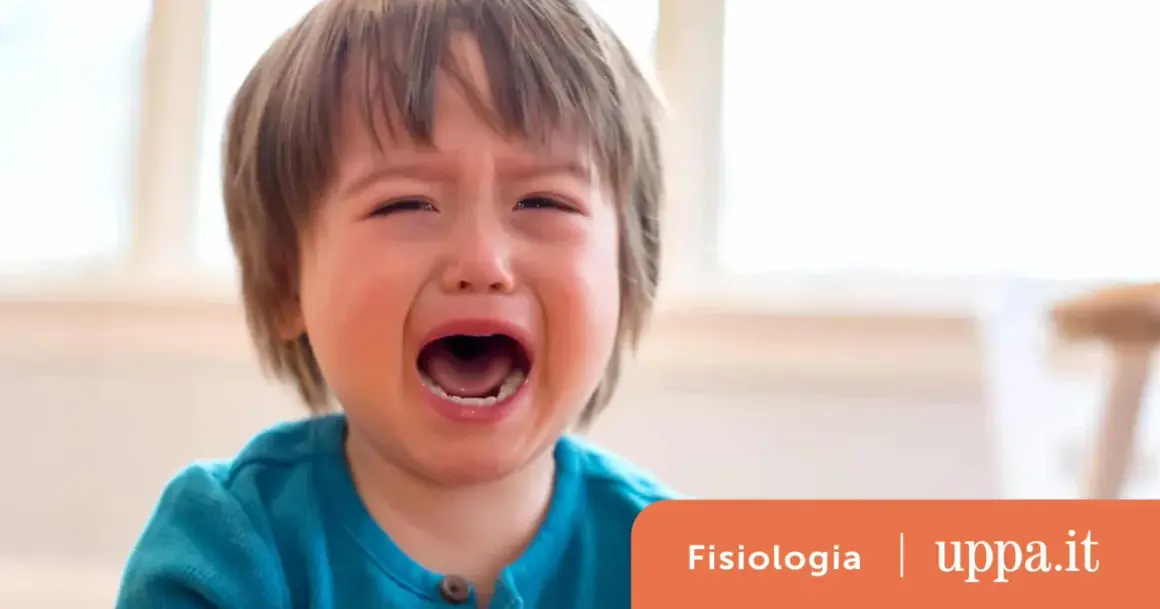 Un neonato di 6 mesi urla acutamente, con gli occhi chiusi e la bocca spalancata.