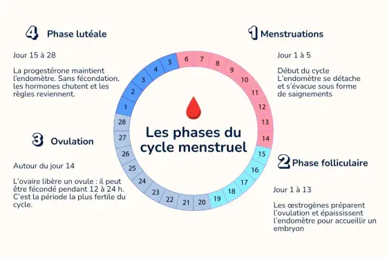 Ciclo prima della fine della pillola - Cosa fare?