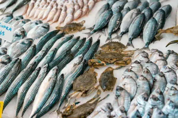Mercato del pesce con sgombri, orate e granchi. Un'ottima scelta di pesce per bambini, fresco e invitante.