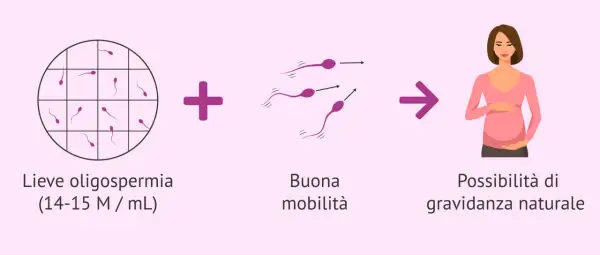 Lieve oligospermia e buona mobilità degli spermatozoi portano a possibilità di gravidanza naturale. Il liquido seminale muore a contatto con la pelle.