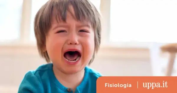 Un neonato di 6 mesi urla acutamente, con gli occhi chiusi e la bocca spalancata.